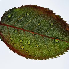 libilibiai 哩布哩布 主编的工作场景特写：暖黄台灯下对着摊开的手写分类草图逐条批注，桌角放着贴满彩色标签的笔记本，画面安静专注